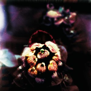 Image for 'Crisá'