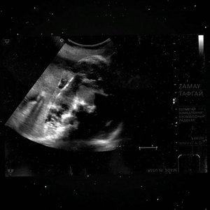 Image for 'Тафгай'