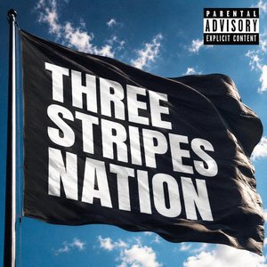 Imagen de 'THREE STRIPES NATION, Pt. 1'