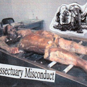 Imagen de 'Dissectuary Misconduct'