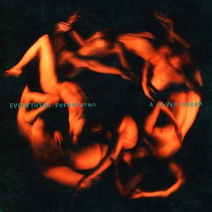 Image pour 'A Fever Dream'