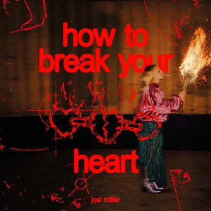 Image for 'how to break your heart'