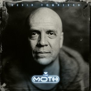Image for 'The Moth'