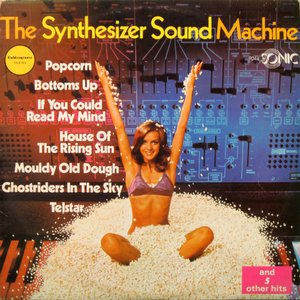 Immagine per 'The Synthesizer Sound Machine'