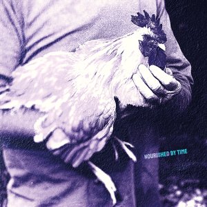 Image for 'Catching Chickens'