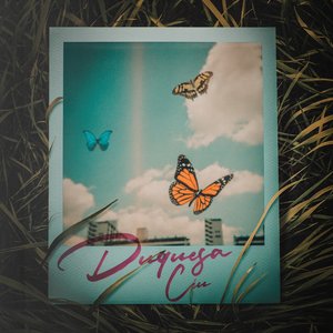 Image pour 'Céu'