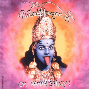 Immagine per 'OM NAMAH SHIVAY!'