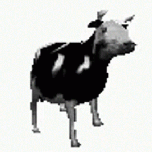 Image for 'Gdzie jest biały węgorz (Zejście)'