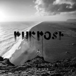 Bild für 'Purpose Singles'