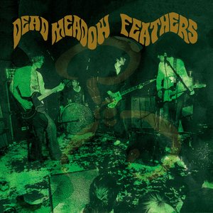 Image for 'Feathers (20th Anniversary Edition)'