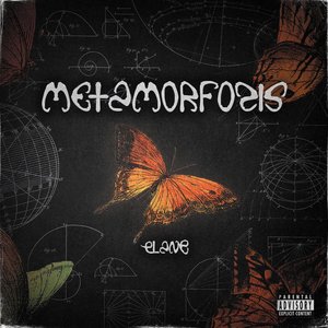 Image for 'Metamorfosis'