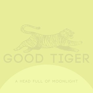 Image for 'A Head Full Of Moonlight'