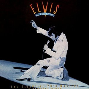 Image for 'Walk A Mile In My Shoes - The Essential 70's Masters'