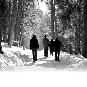 Bild für 'Agalloch'