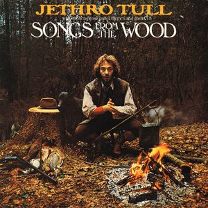 Zdjęcia dla 'Songs From the Wood'