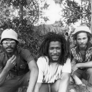Изображение для 'The Congos'
