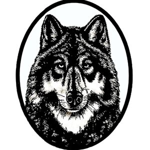 Image for 'Chances With Wolves'