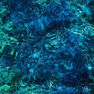 Image for 'Luminescent Creatures'