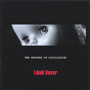 Immagine per 'THE PROCESS OF DISILLUSION'