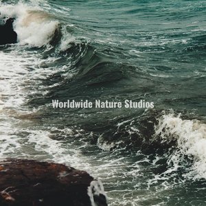Immagine per 'Ocean HD Waves'