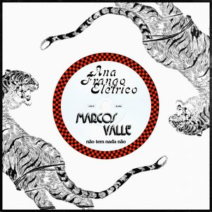 Image for 'Não Tem Nada Não (citação: Gypsy Woman)'