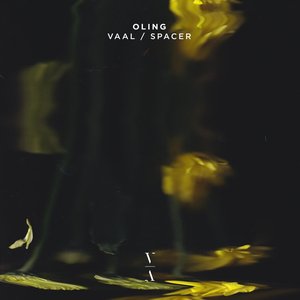 Image for 'Vaal / Spacer'
