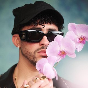 'Bad Bunny'の画像