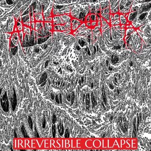 Immagine per 'IRREVERSIBLE COLLAPSE'