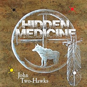 Image for 'Hidden Medicine'