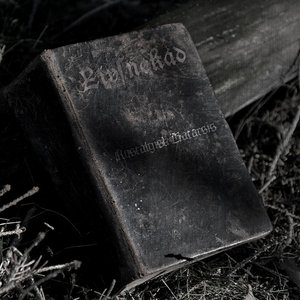 Image pour 'Nostalgisk Katarsis'