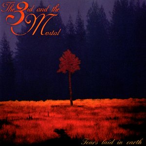Image for 'Tears Laid in Earth'