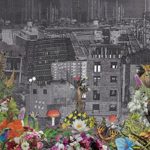 Image pour 'Perpetual Eden'
