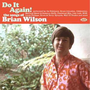 Image for 'Do It Again! The Songs of Brian Wilson'