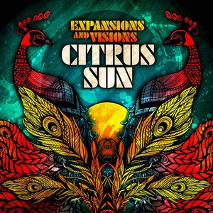 “Expansions and Visions”的封面