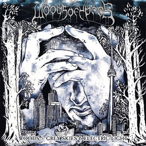 Image for 'Woods 5: Grey Skies  Electric Light'