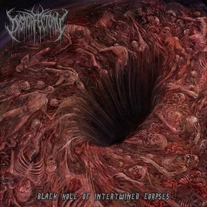 Image for 'Black Hole of Intertwined Corpses'