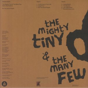 Image for 'The Mighty Tiny & The Many Few'