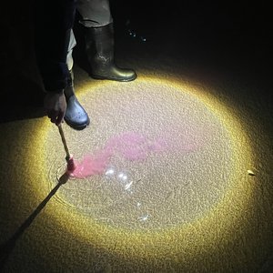 Image for 'Escrito en agua'
