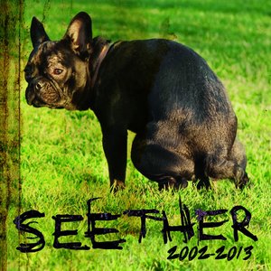 Immagine per 'Seether: 2002 - 2013'