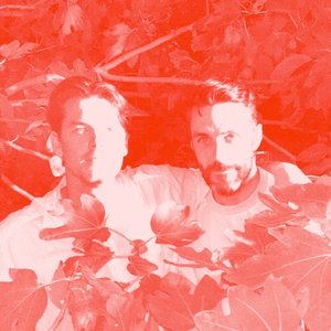 Immagine per 'MLIR'