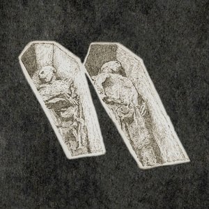 Image for 'Mylingar'