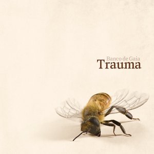 Image for 'Trauma'