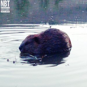 'BEAVER'の画像