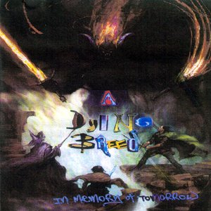 Image for 'In Memory Of Tomorrow'