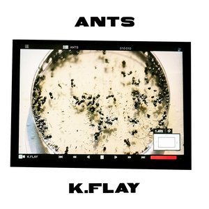 Image for 'Ants'