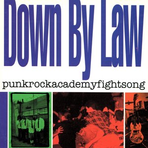 Bild für 'Punkrockacademyfightsong'
