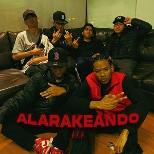 Image for 'ALARAKEANDO'