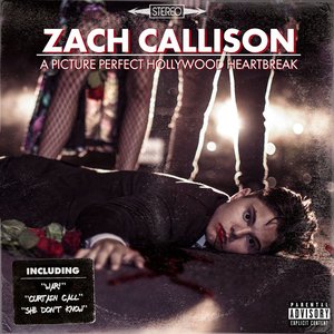 Image for 'A Picture Perfect Hollywood Heartbreak'