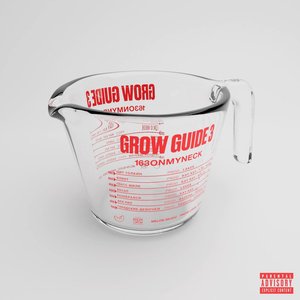 Изображение для 'GROW GUIDE 3'