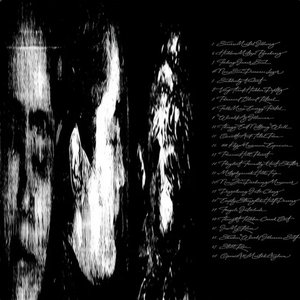 Image for 'new world disorder'